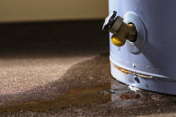Best Basement water damage restoration  in Whiting, WI