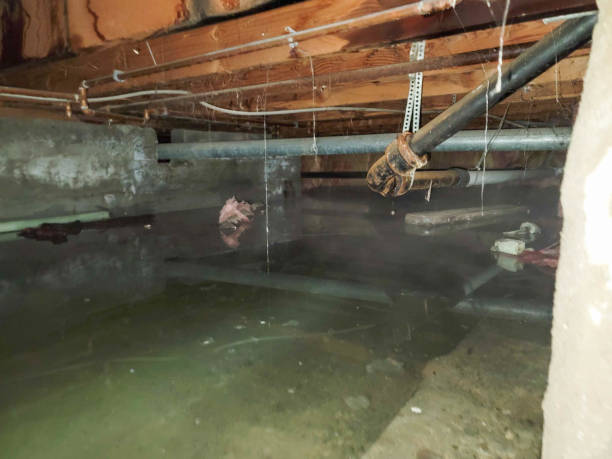 Best Water damage restoration near me  in Whiting, WI