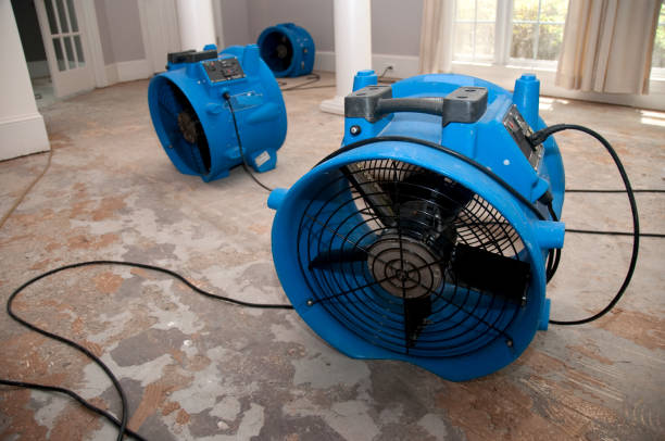 Trusted Whiting, WI Water damage restoration Experts