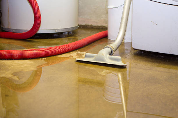 Best Fire Damage Restoration  in Whiting, WI