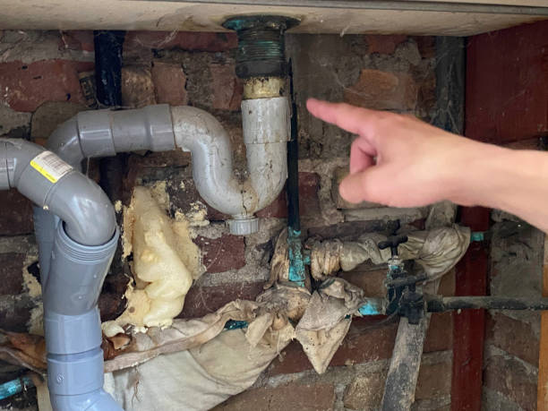 Best Water damage restoration experts  in Whiting, WI